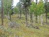 Lot 47 Palo Flechado Road